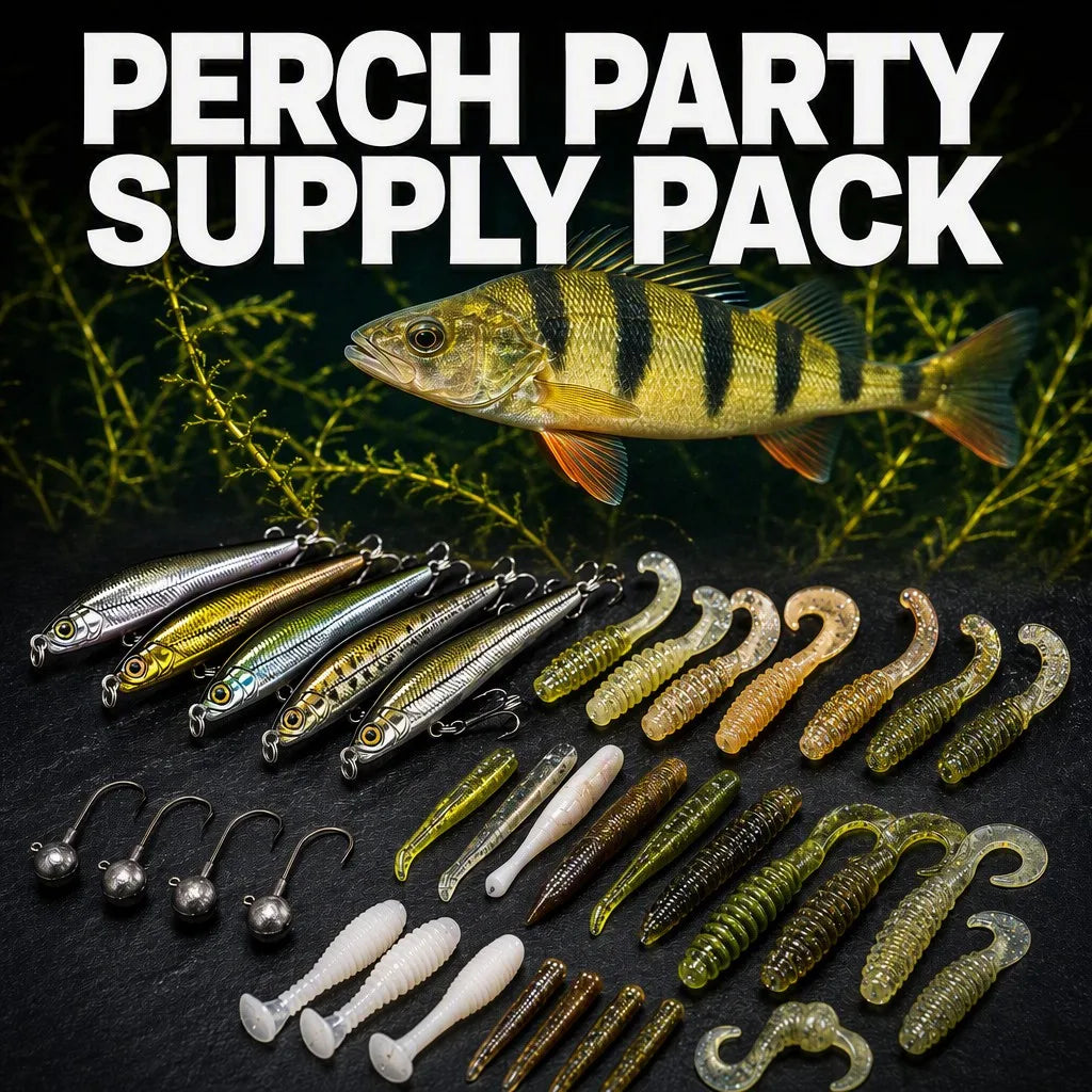 Perch Party - Bearking Edition